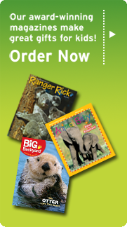 Our award-winning magazines make great gifts for kids!